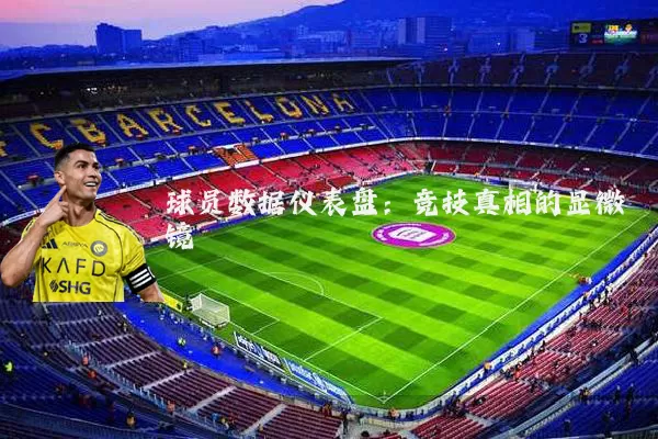 球员数据仪表盘:竞技真相的显微镜